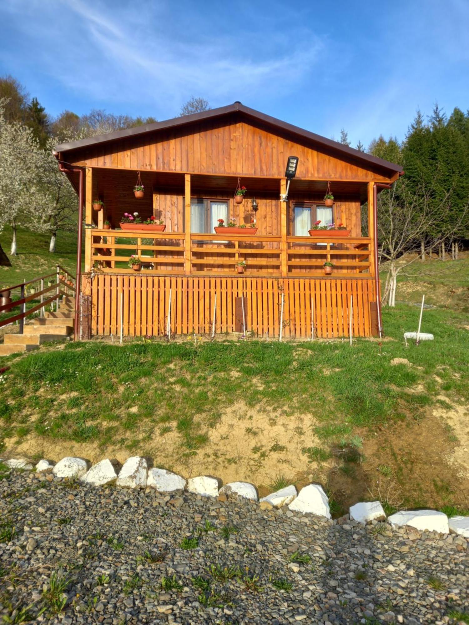 Casa Geanina Bed & Breakfast Colibita Exterior photo