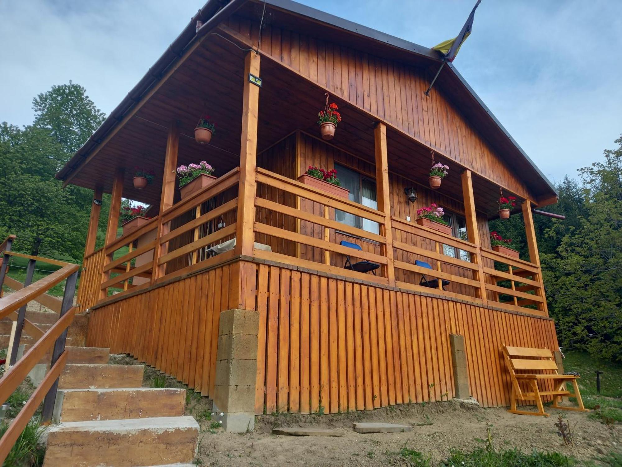 Casa Geanina Bed & Breakfast Colibita Exterior photo