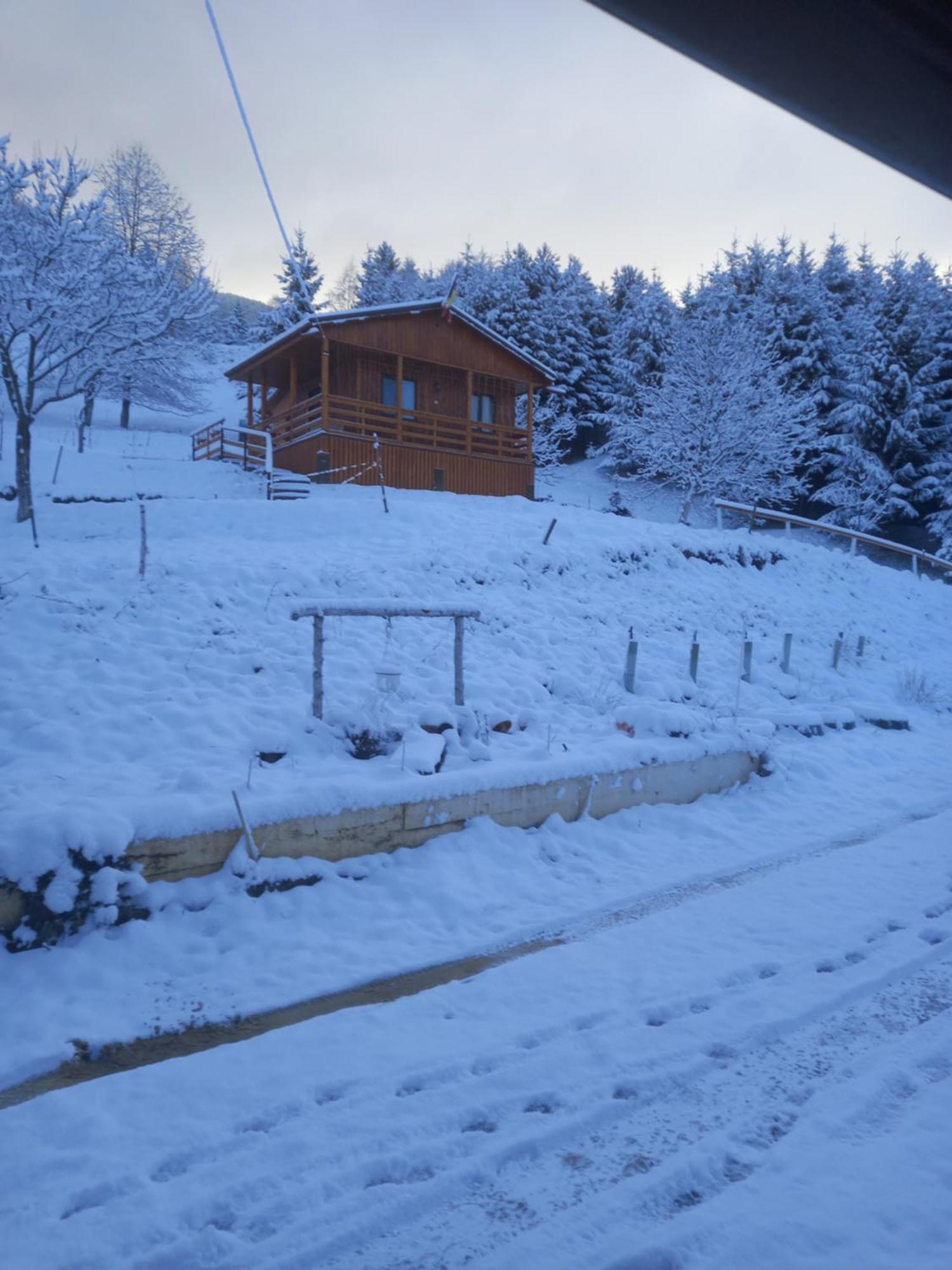 Casa Geanina Bed & Breakfast Colibita Exterior photo