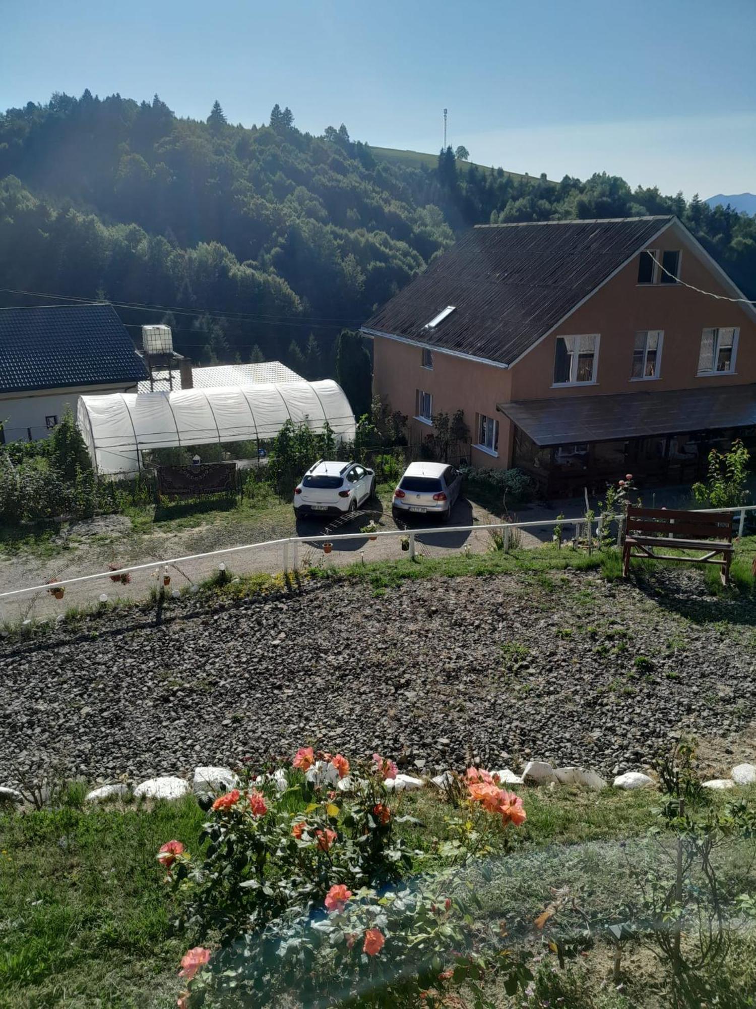 Casa Geanina Bed & Breakfast Colibita Exterior photo